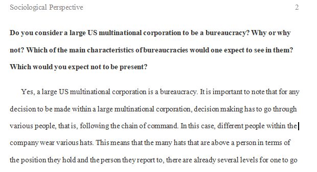Do you consider a large US multinational corporation to be a bureaucracy