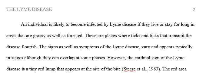 At what stages of Lyme disease are the IgG and IgM antibodies elevated